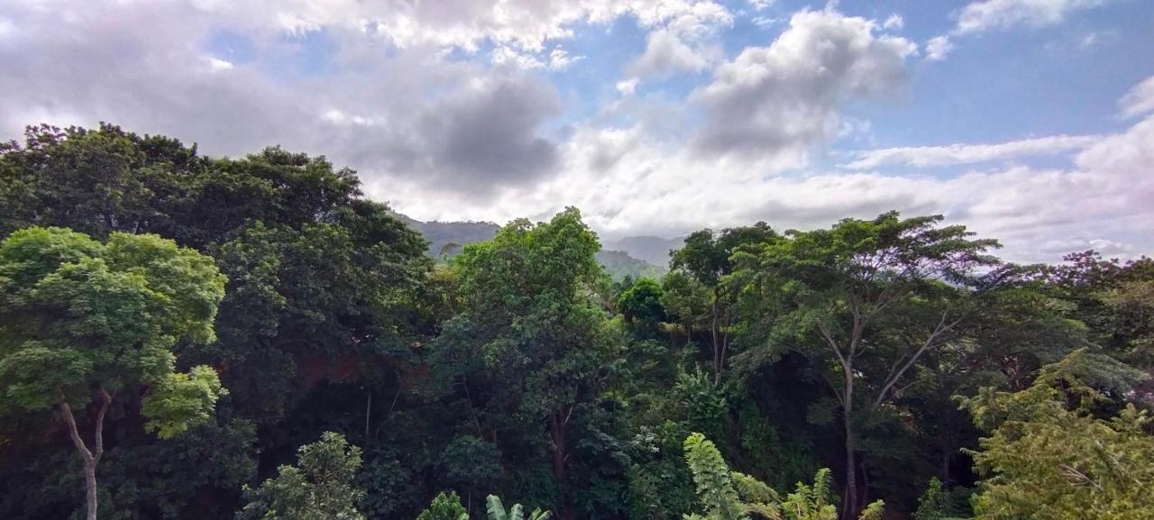Casaluna Tayrona