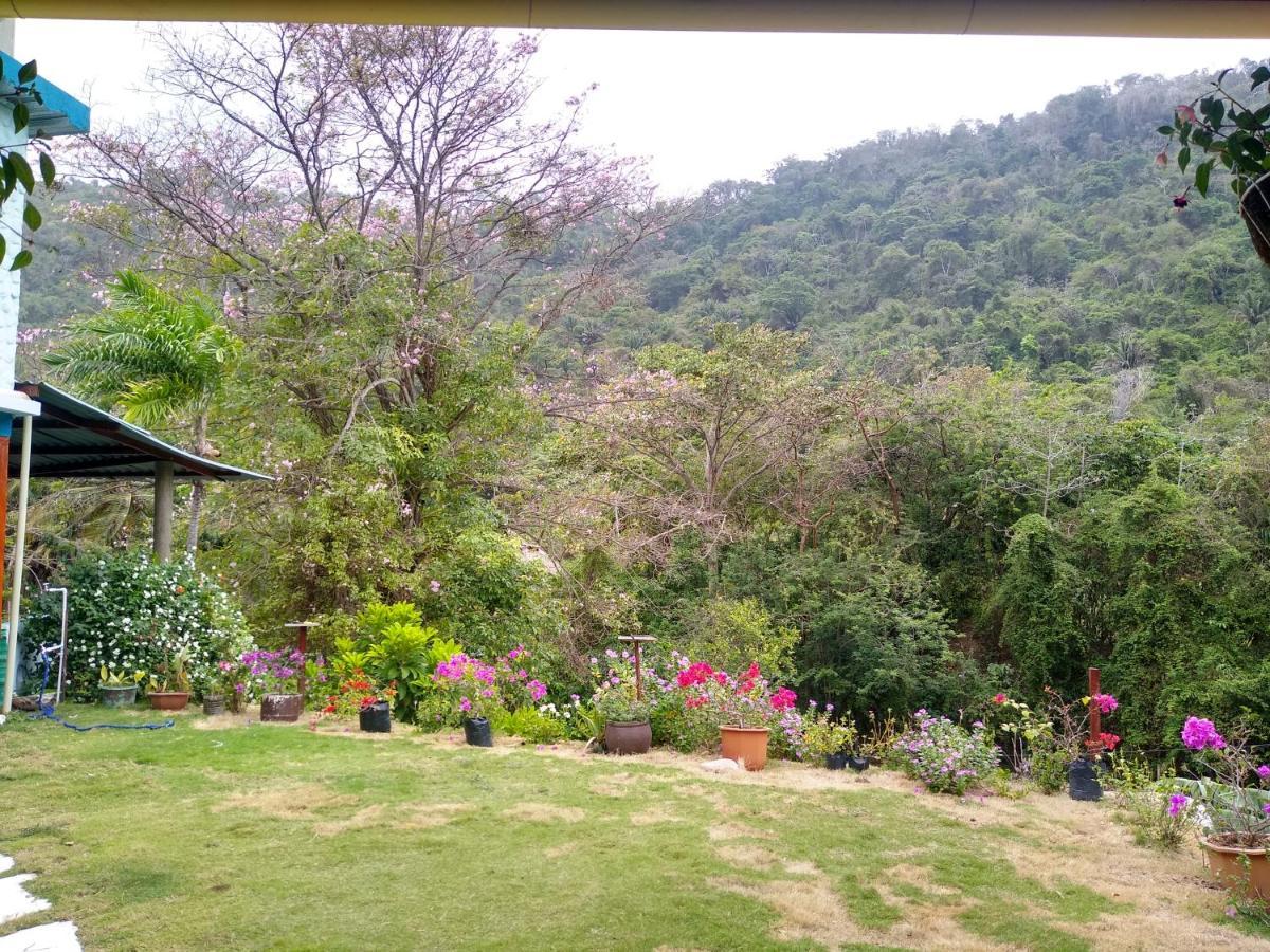 Casaluna Tayrona Lodge