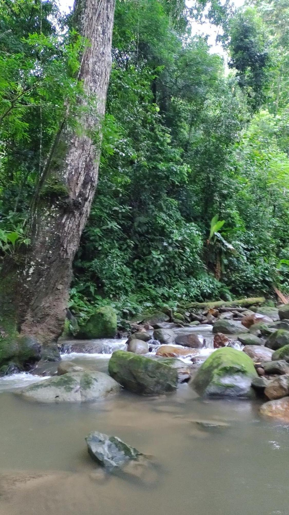 Casaluna Tayrona * Santa Marta (Magdalena)