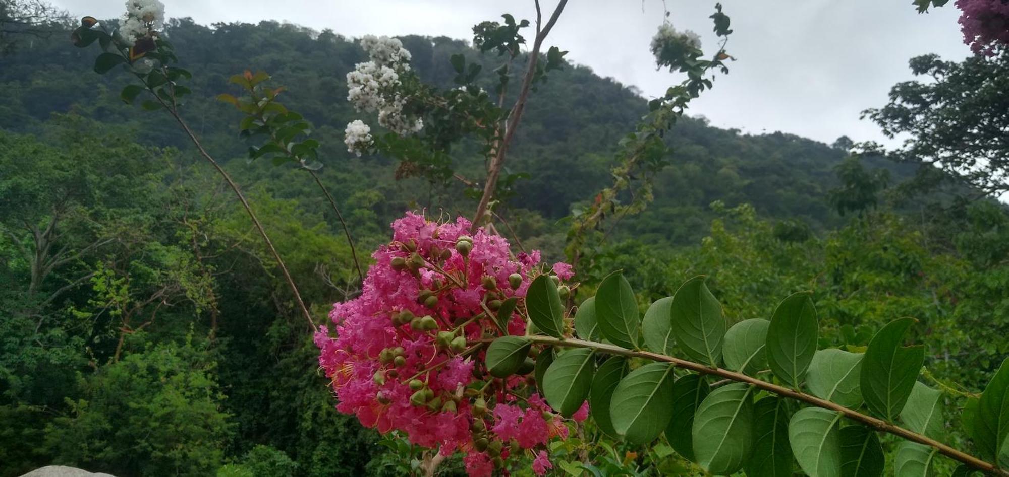 Lodge Casaluna Tayrona