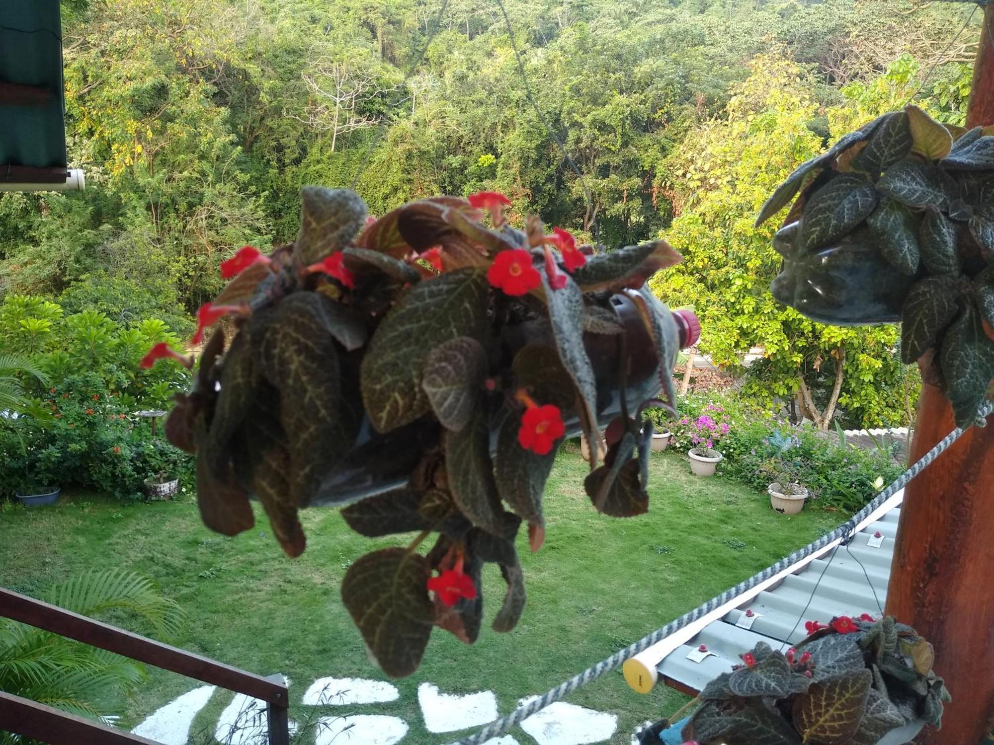 Casaluna Tayrona Santa Marta (Magdalena)