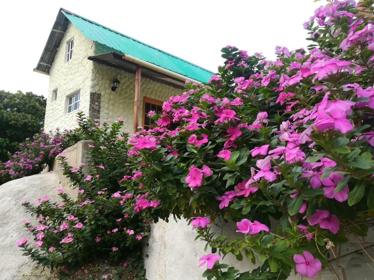 Lodge Casaluna Tayrona Santa Marta (Magdalena)