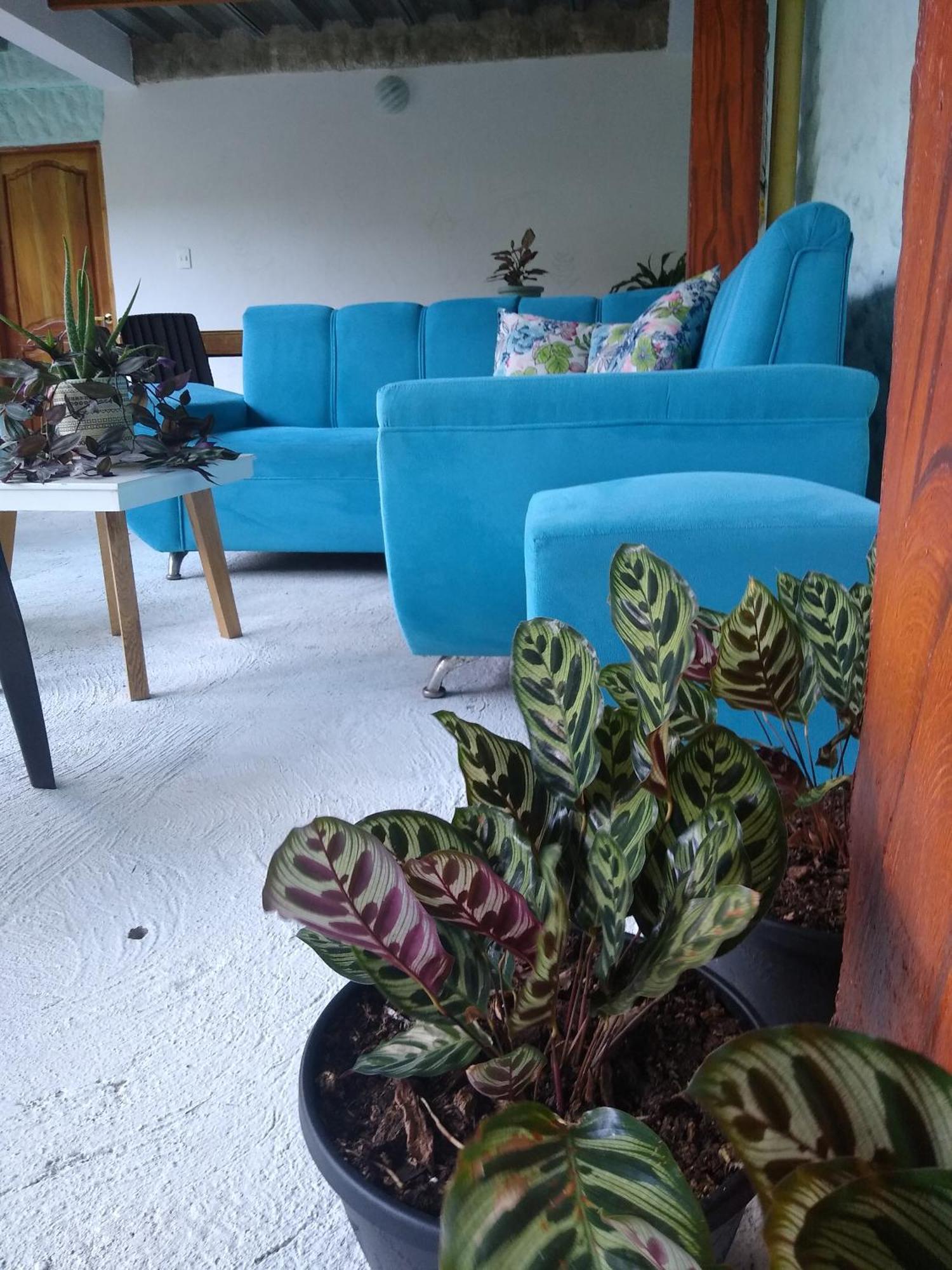 Casaluna Tayrona Santa Marta (Magdalena)